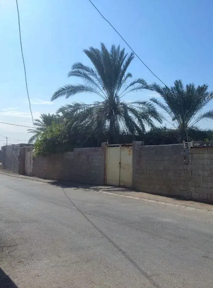 فروش زمین(خورموج) لنگک|فروش زمین و ملک کلنگی|خورموج, |دیوار