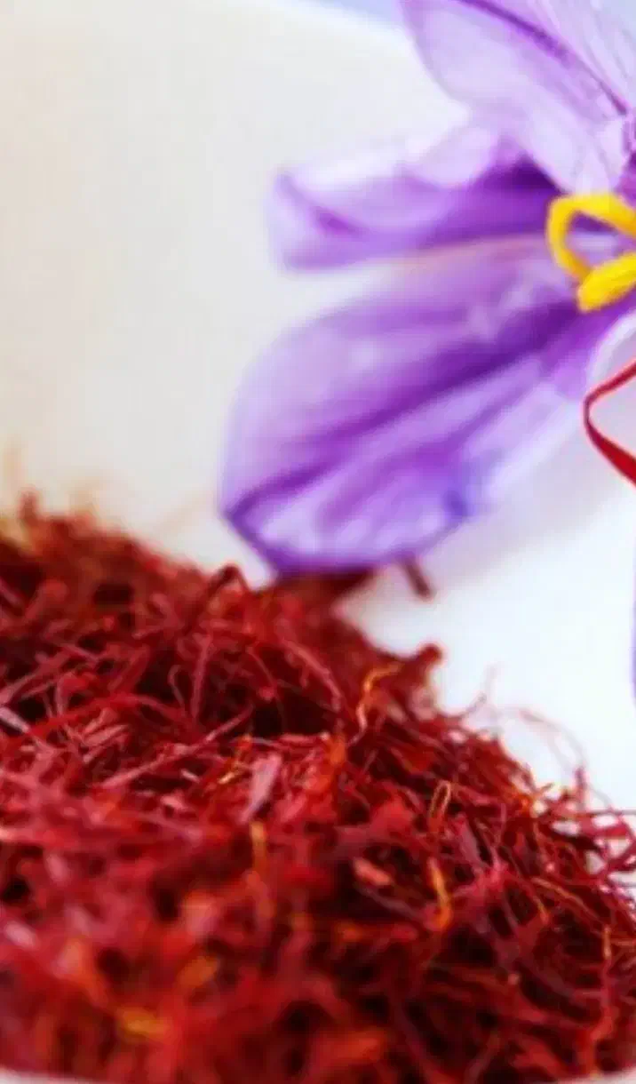 گل زعفران تازه|خوردنی و آشامیدنی|مرند, |دیوار