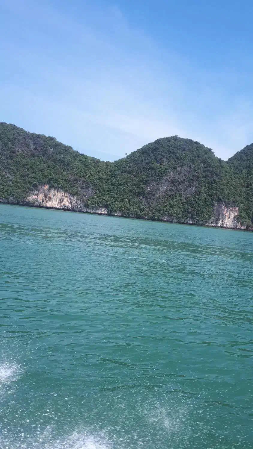 همسفر|تور و چارتر|فولادشهر, B7|دیوار