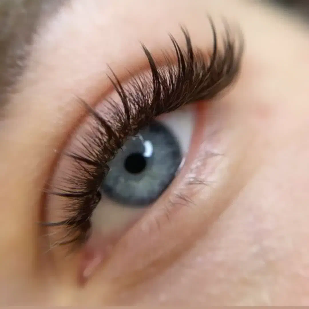 مژه تضمینی ترمیم رایگان جهت ریزش و چرخش|خدمات آرایشگری و زیبایی|تبریز, |دیوار