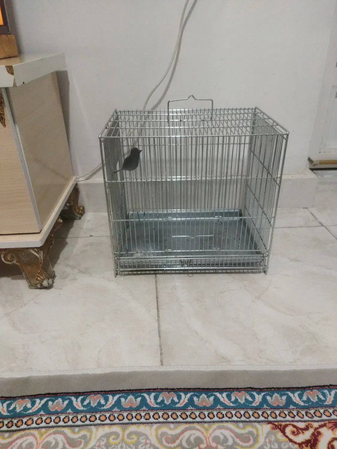 قفس زیبا ومحکم سایز متوسط|لوازم جانبی حیوانات|ایلام, |دیوار