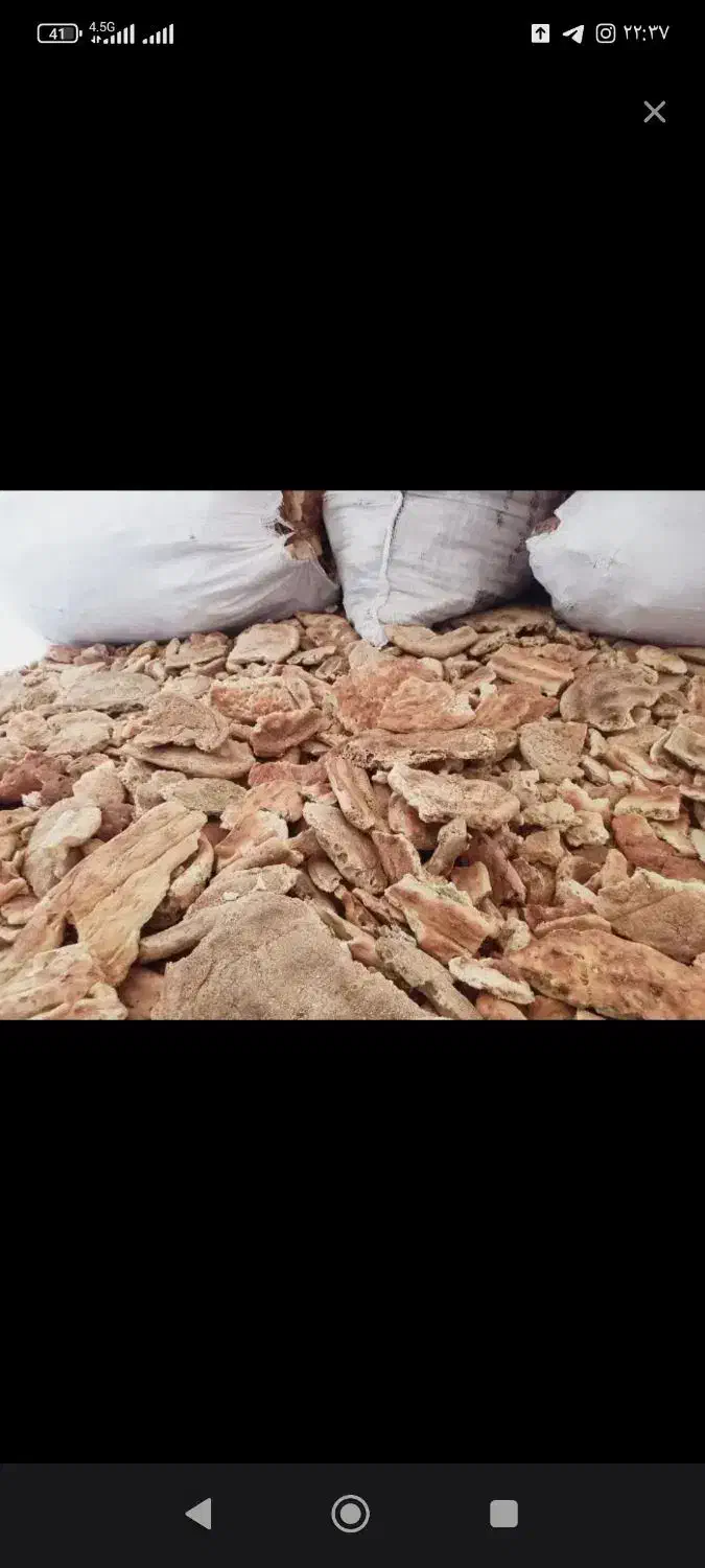 نان خشک زاهدان تمیزوبدون کپک|حیوانات مزرعه|تربت‌حیدریه, پائین ولایت|دیوار