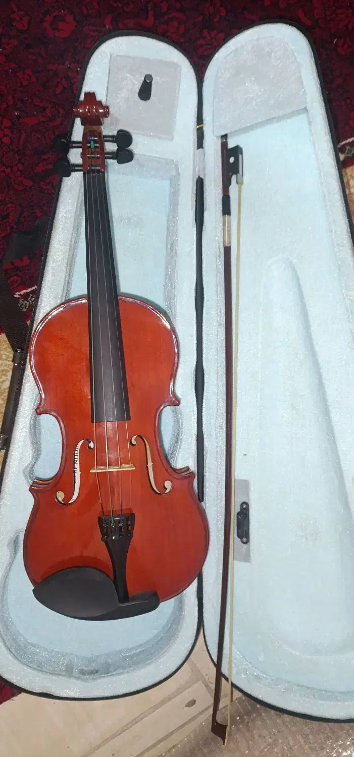 ویالون رناتو|ویولن|کرمانشاه, |دیوار