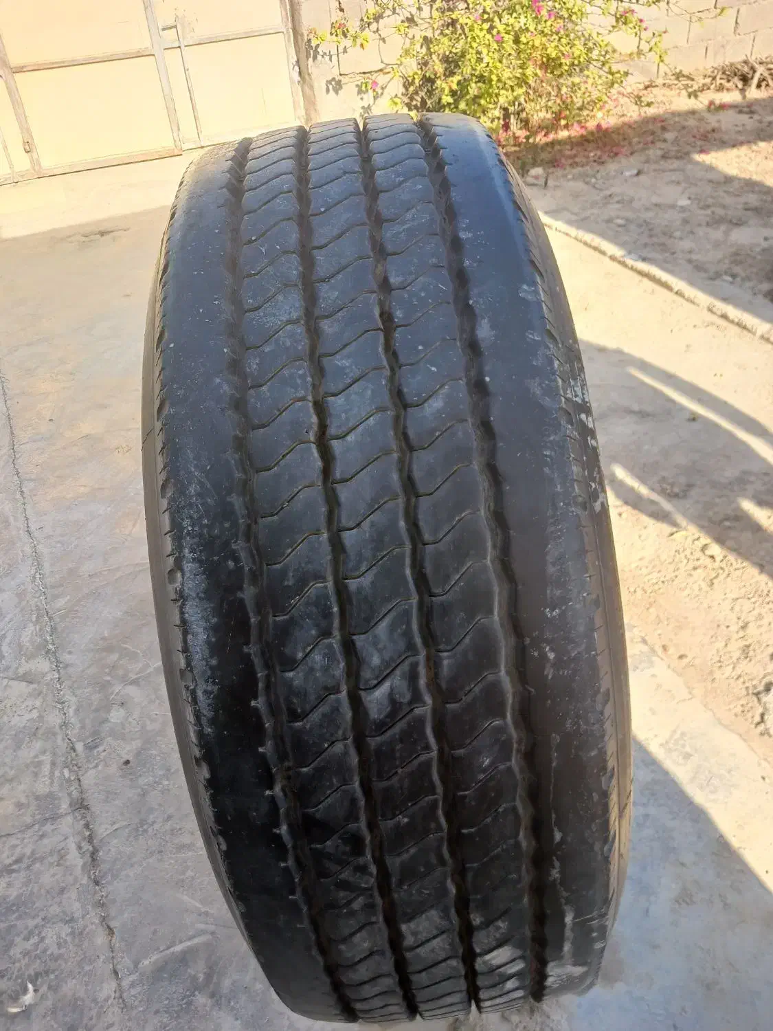 لاستیک ماشین بزرگ|قطعات یدکی و لوازم جانبی|رامشیر, |دیوار