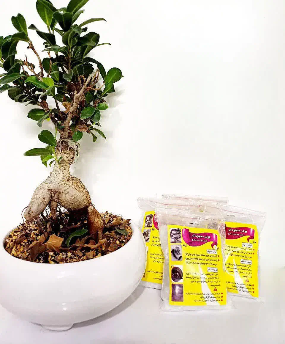 تولید و پخش ریکا سیاه،شفاف،معجزه گر|مواد شوینده و دستمال کاغذی|شهریار, شهریار|دیوار