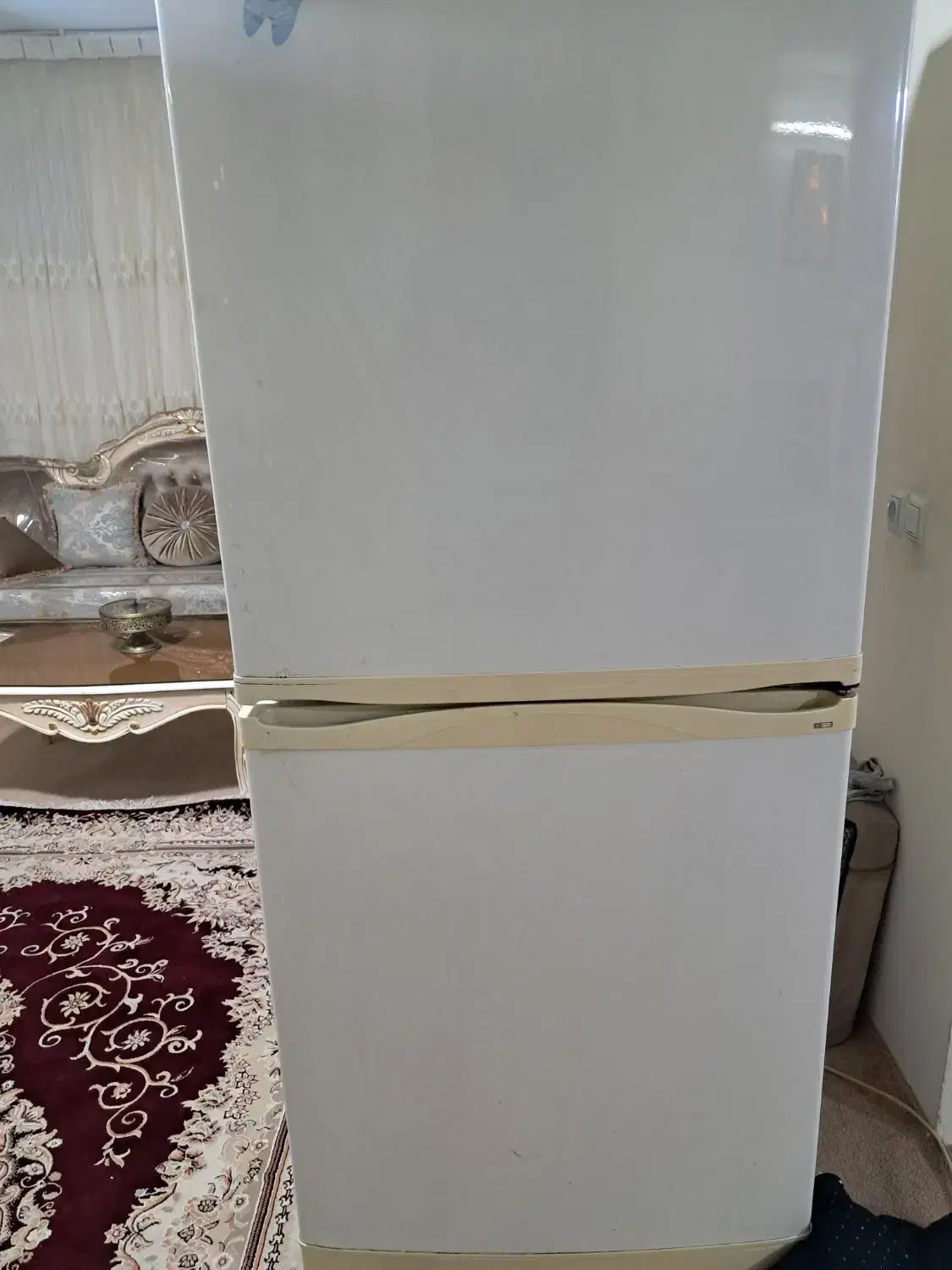 یخچال فریزر اسنوا|یخچال و فریزر|تاکستان, |دیوار