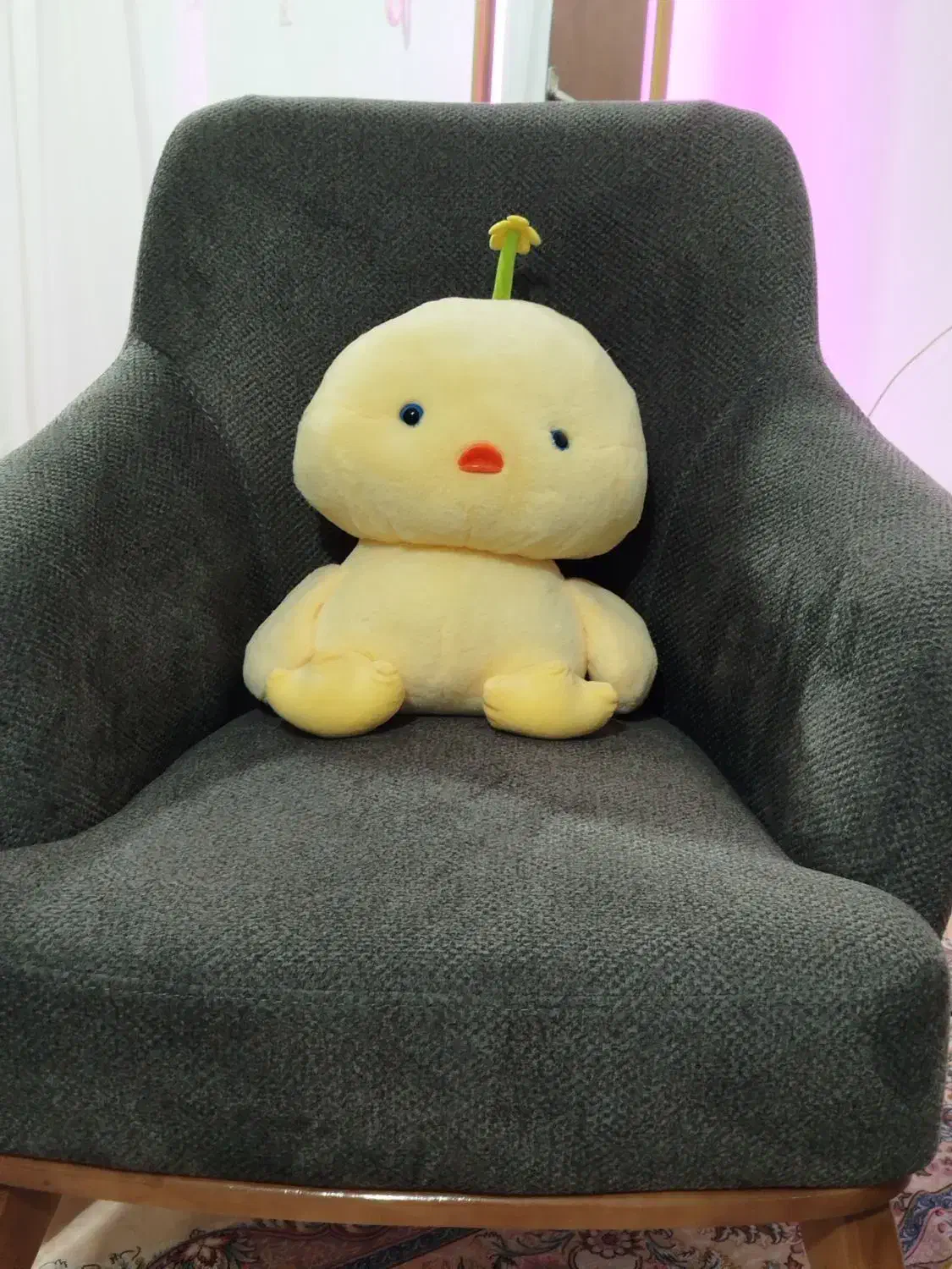 مبلمان شرکتی نو|مبلمان خانگی و میز عسلی|ساوه, |دیوار