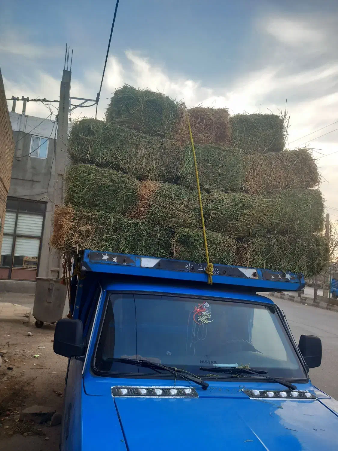 یونجه|لوازم جانبی حیوانات|تبریز, |دیوار