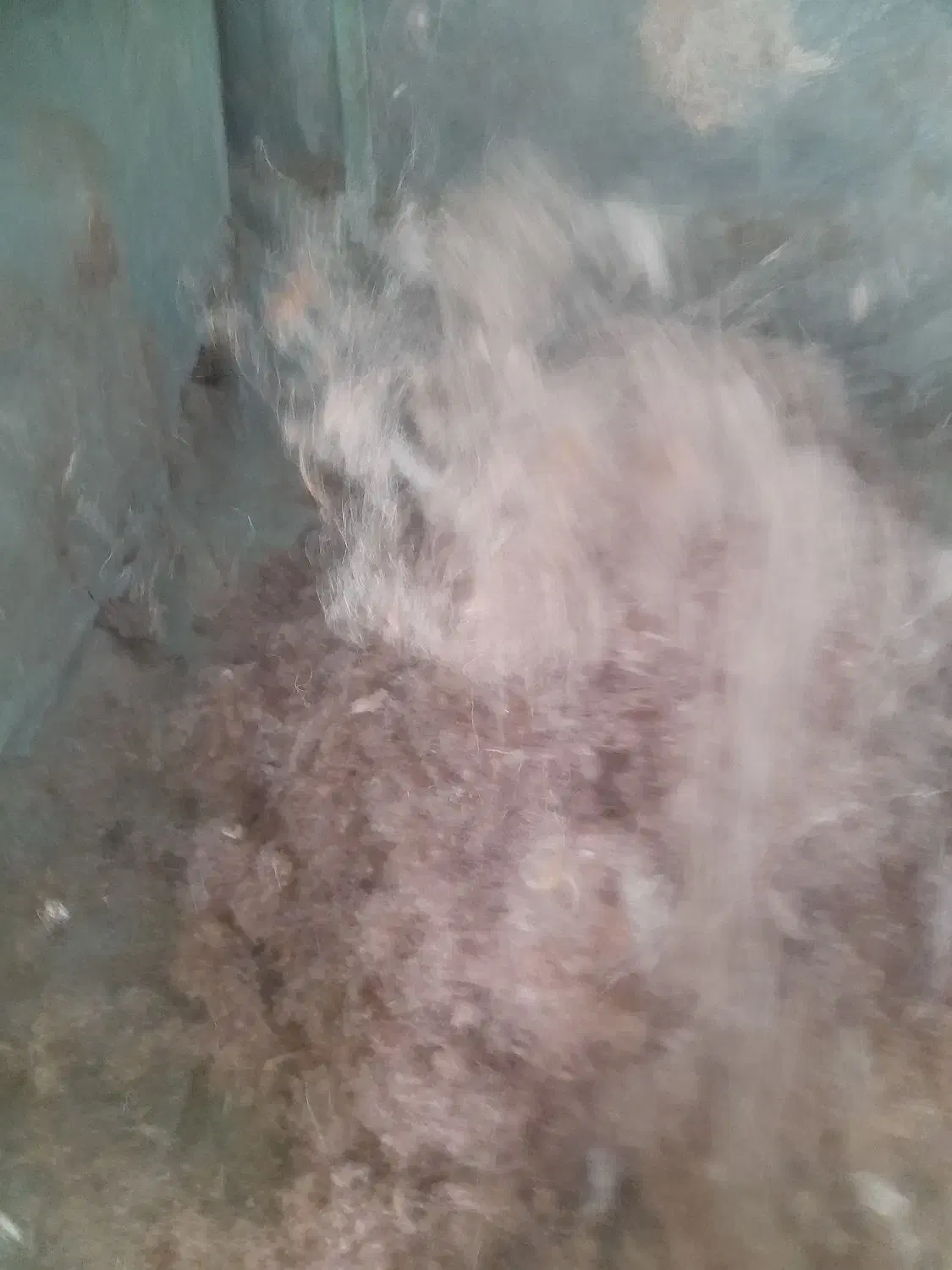 حلاجی|رختخواب، بالش، پتو|خرمدره, |دیوار