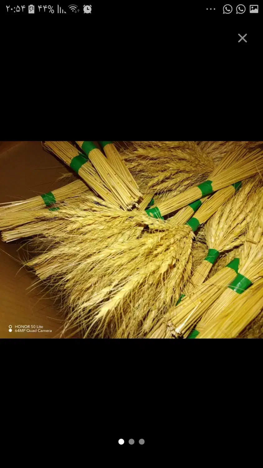 یه دسته بزرگ گندم خشک|گل مصنوعی|اندیمشک, |دیوار