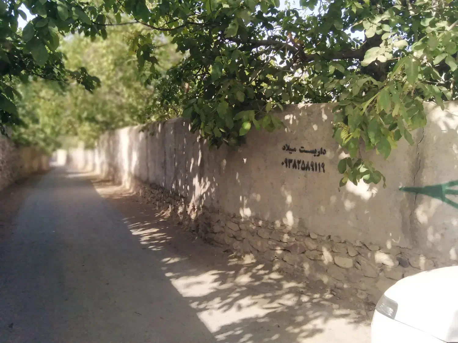 اجاره باغ|اجارهٔ خانه و ویلا|هشتگرد, فشند|دیوار