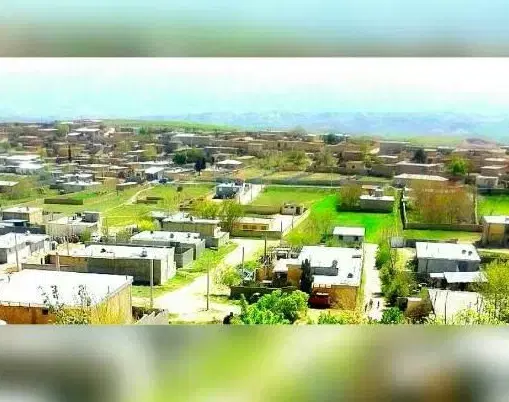تصویر 3