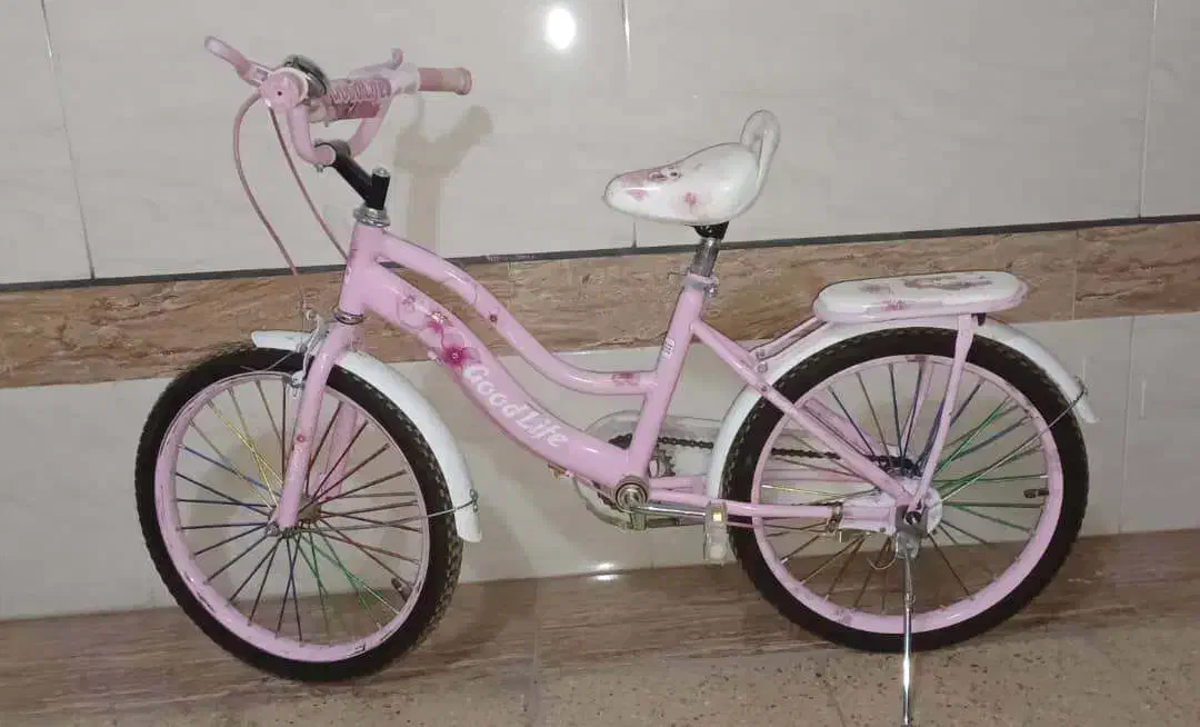 دوچرخه دخترانه بچه گانه|دوچرخه، اسکیت، اسکوتر|شاهینشهر, مخابرات (شهید بهشتی)|دیوار