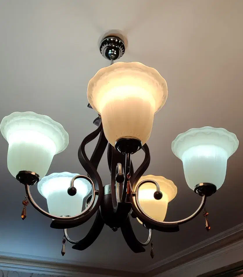 لوستر پذیرایی  ۲ عددی ۵ شاخه|لوستر و چراغ آویز|اردبیل, |دیوار