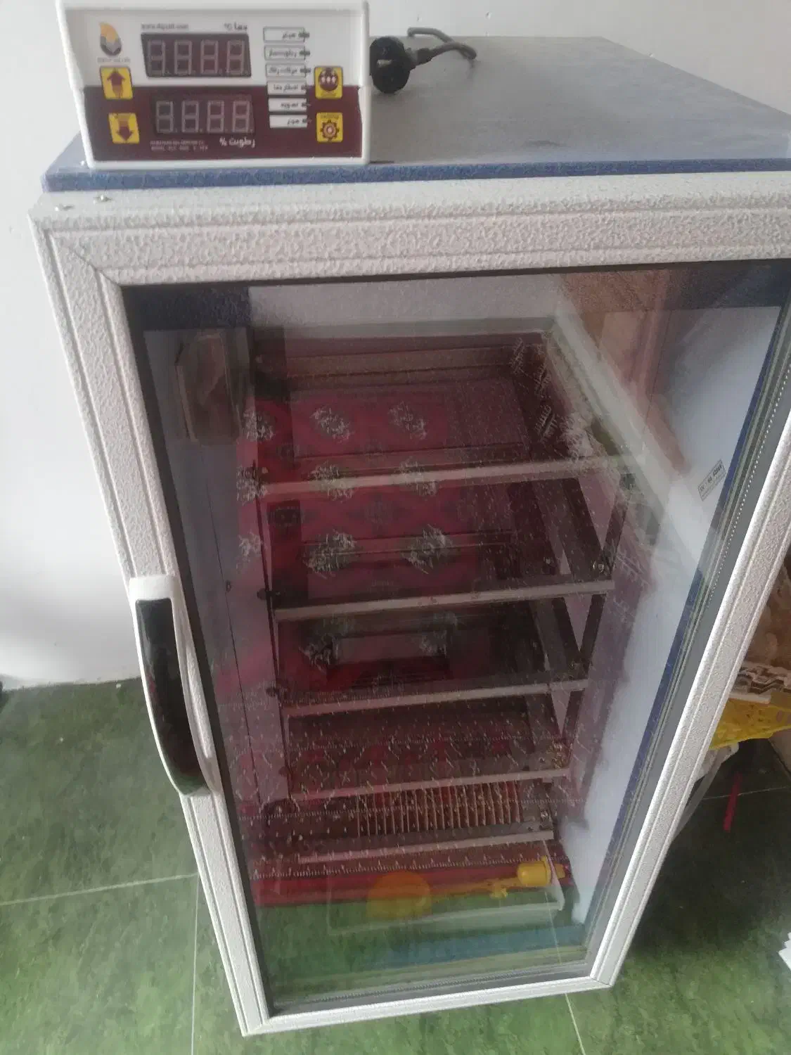 دستگاه جوجه کشی|لوازم جانبی حیوانات|کردکوی, |دیوار