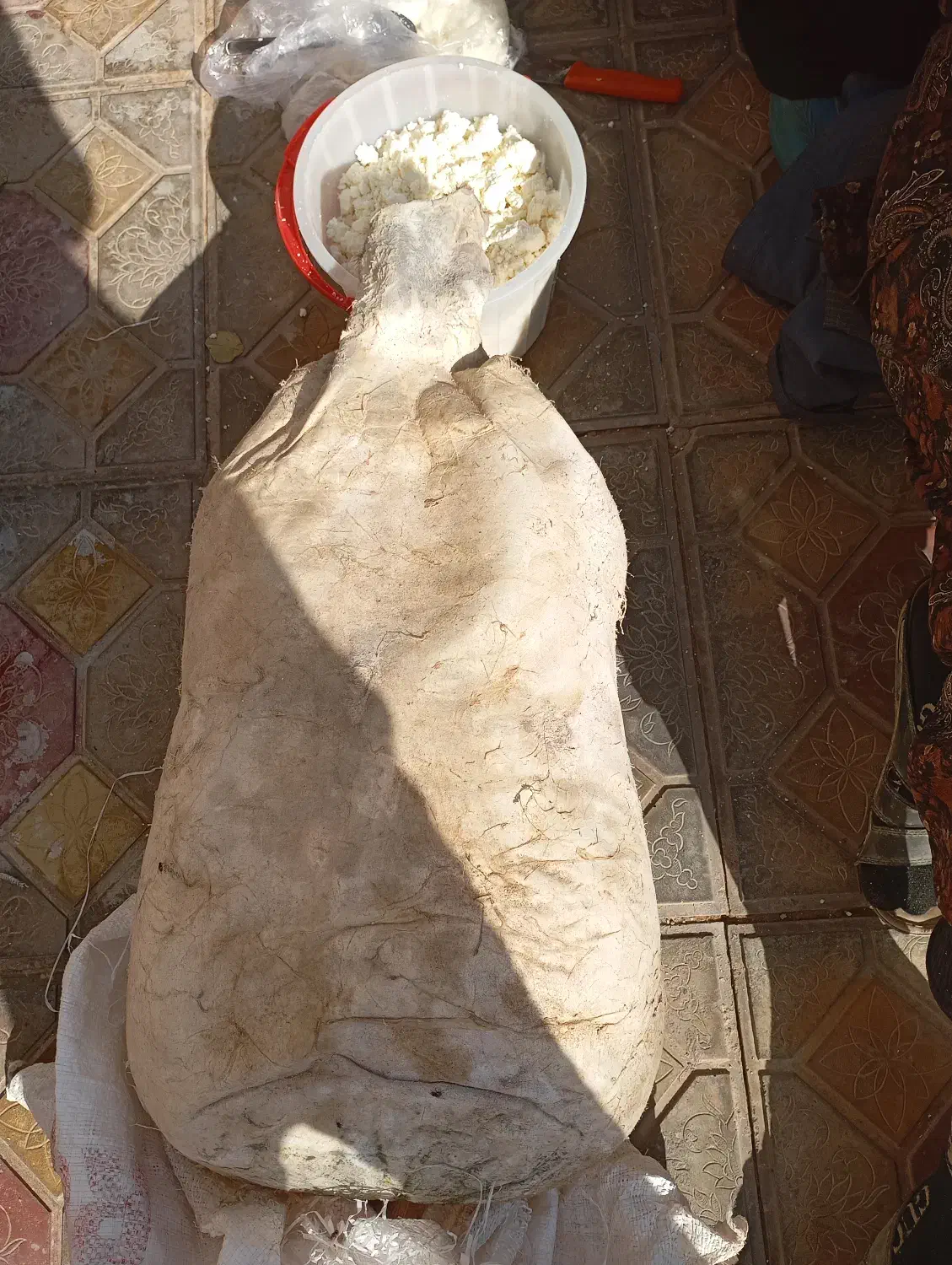 پنیر موتال|خوردنی و آشامیدنی|میانه, |دیوار