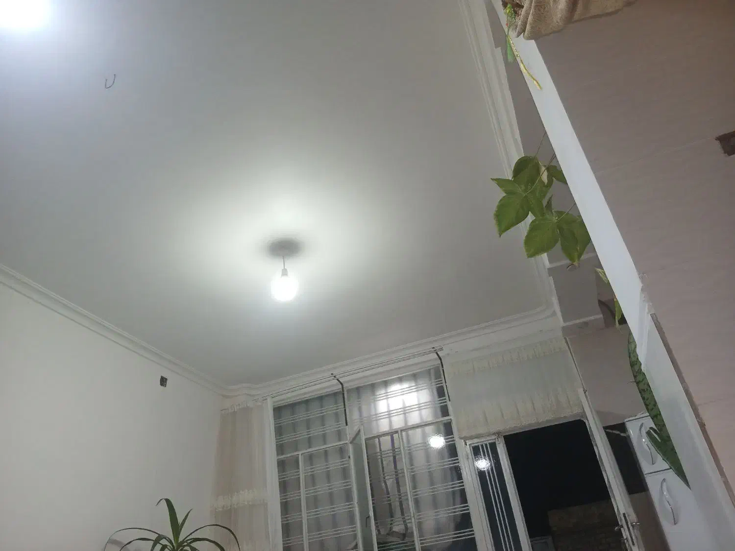 فروش دوباب مغازه۴ر۴۳فرر۳|فروش مغازه و غرفه|داراب, |دیوار