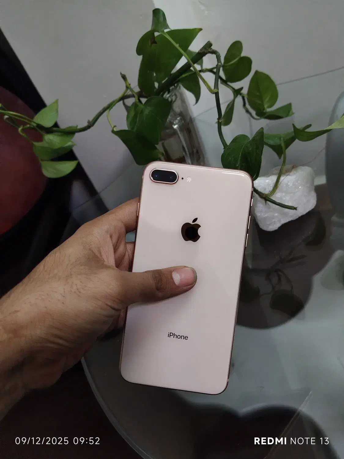 ایفون ایت پلاس درحد آکبند|موبایل|مشهد, گلبرگ|دیوار