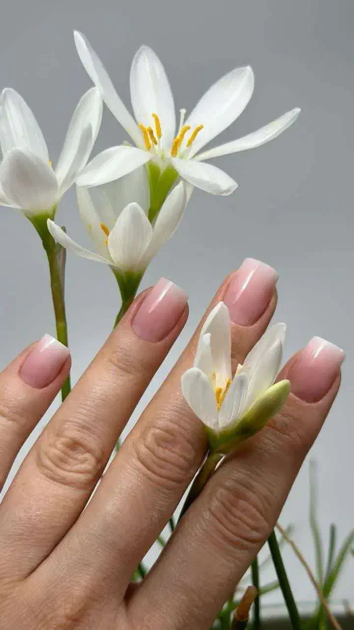 اموزش رایگان کاشت و طراحی ناخن+مواد رایگان|خدمات آموزشی|سیرجان, |دیوار