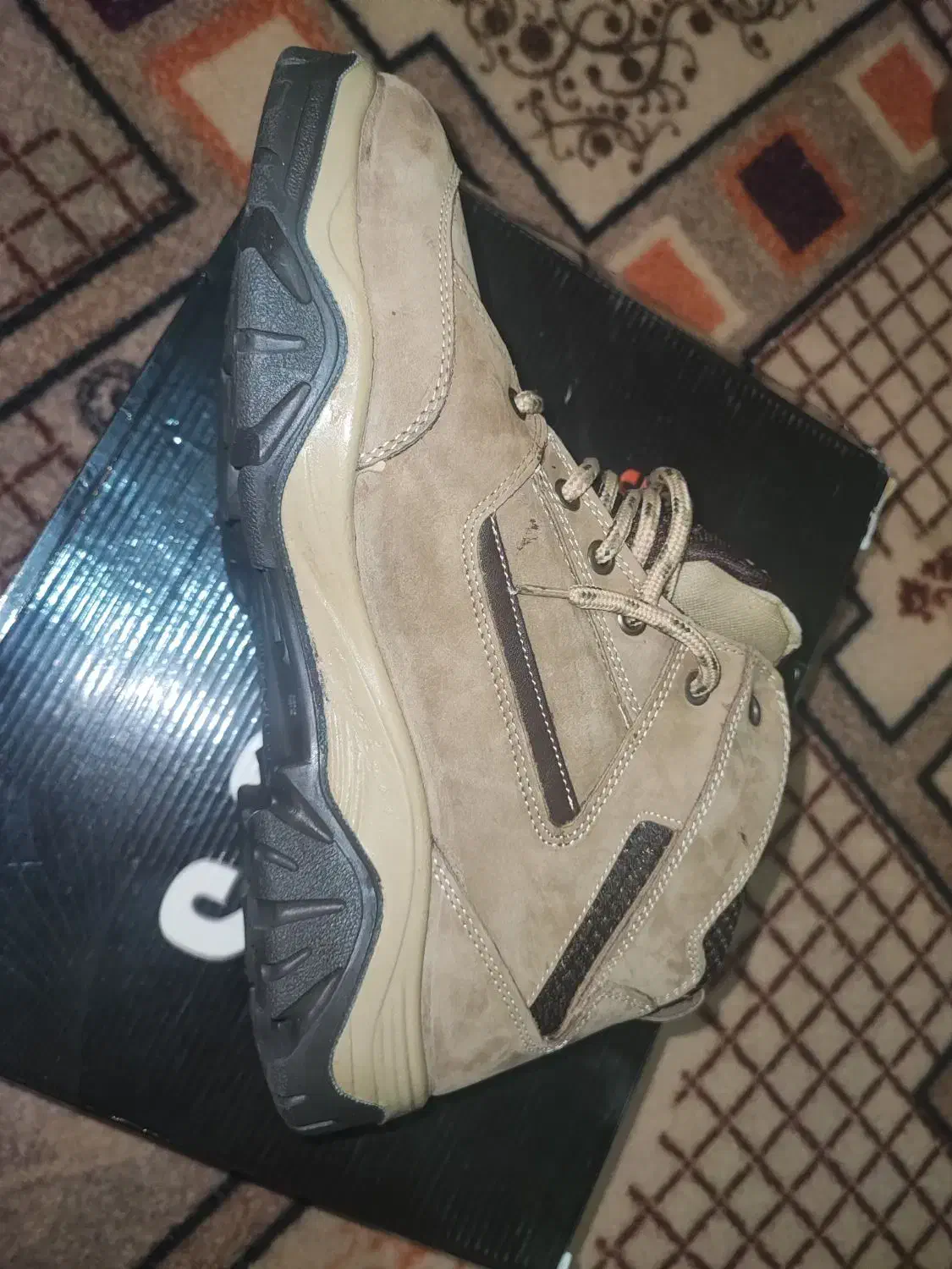 نوی نو|کیف، کفش، کمربند|شاندیز, |دیوار