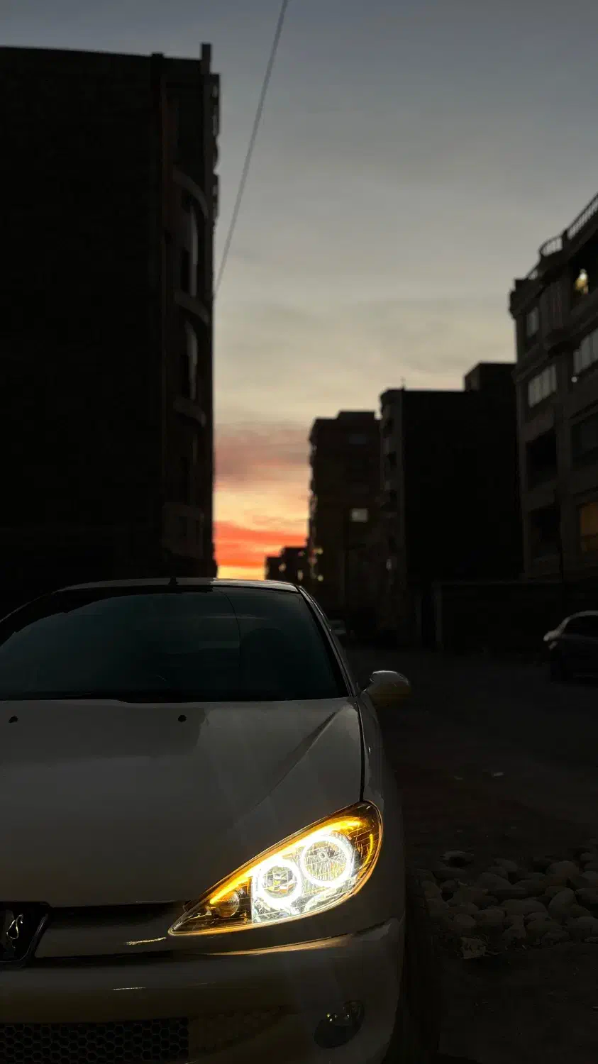 206 SDدوگانه کارخانه 90|خودرو سواری و وانت|کرمان, |دیوار