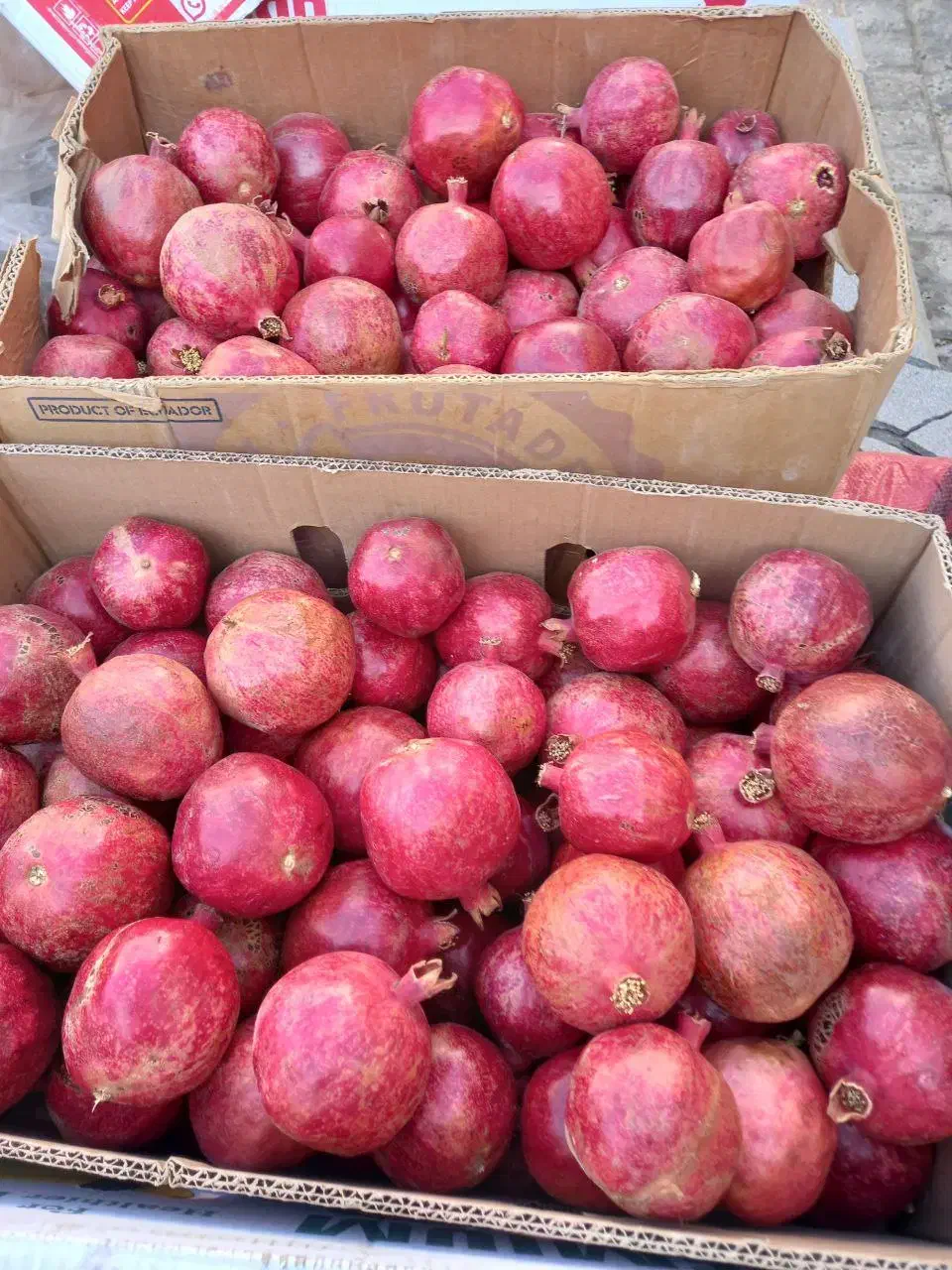 فروش انار و رب انار خانگی بجستان|خوردنی و آشامیدنی|بجستان, |دیوار