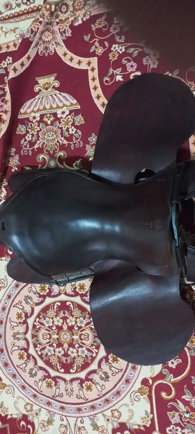 زین|اسب و تجهیزات اسب‌سواری|درگزین, |دیوار