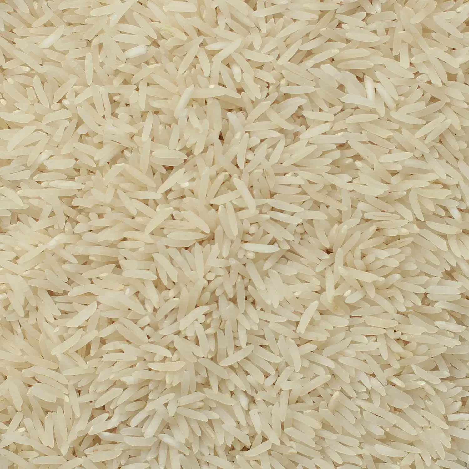 برنج شمال درجه یک|خوردنی و آشامیدنی|خمینی‌شهر, |دیوار