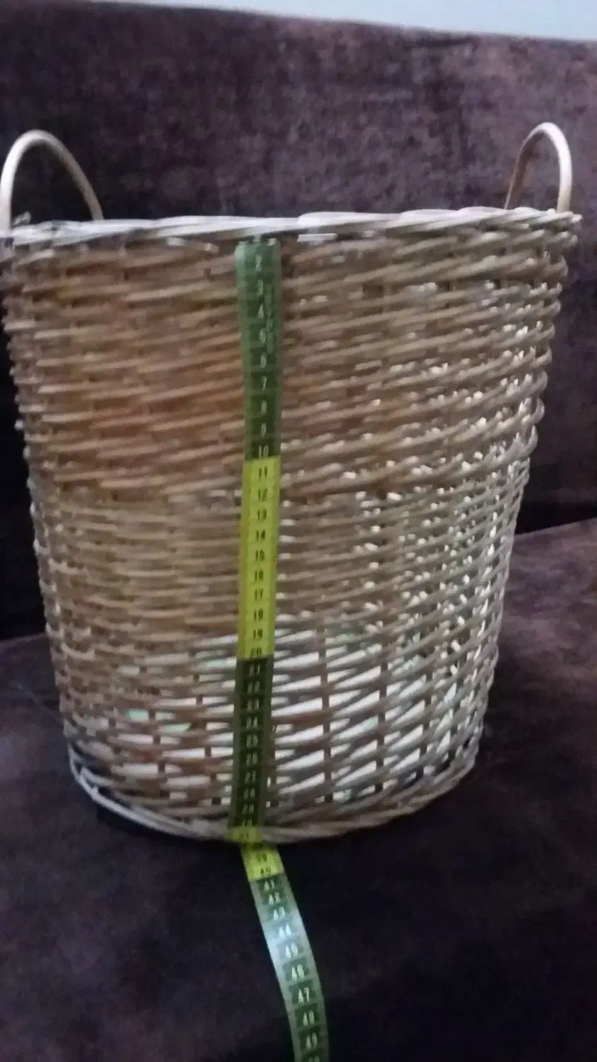 دو گلدان حصیزی نو|گل و گیاه طبیعی|قم, باجک یک|دیوار