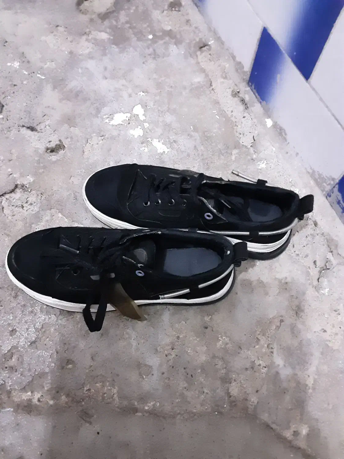 کفش سالم|کیف، کفش، کمربند|سقز, |دیوار