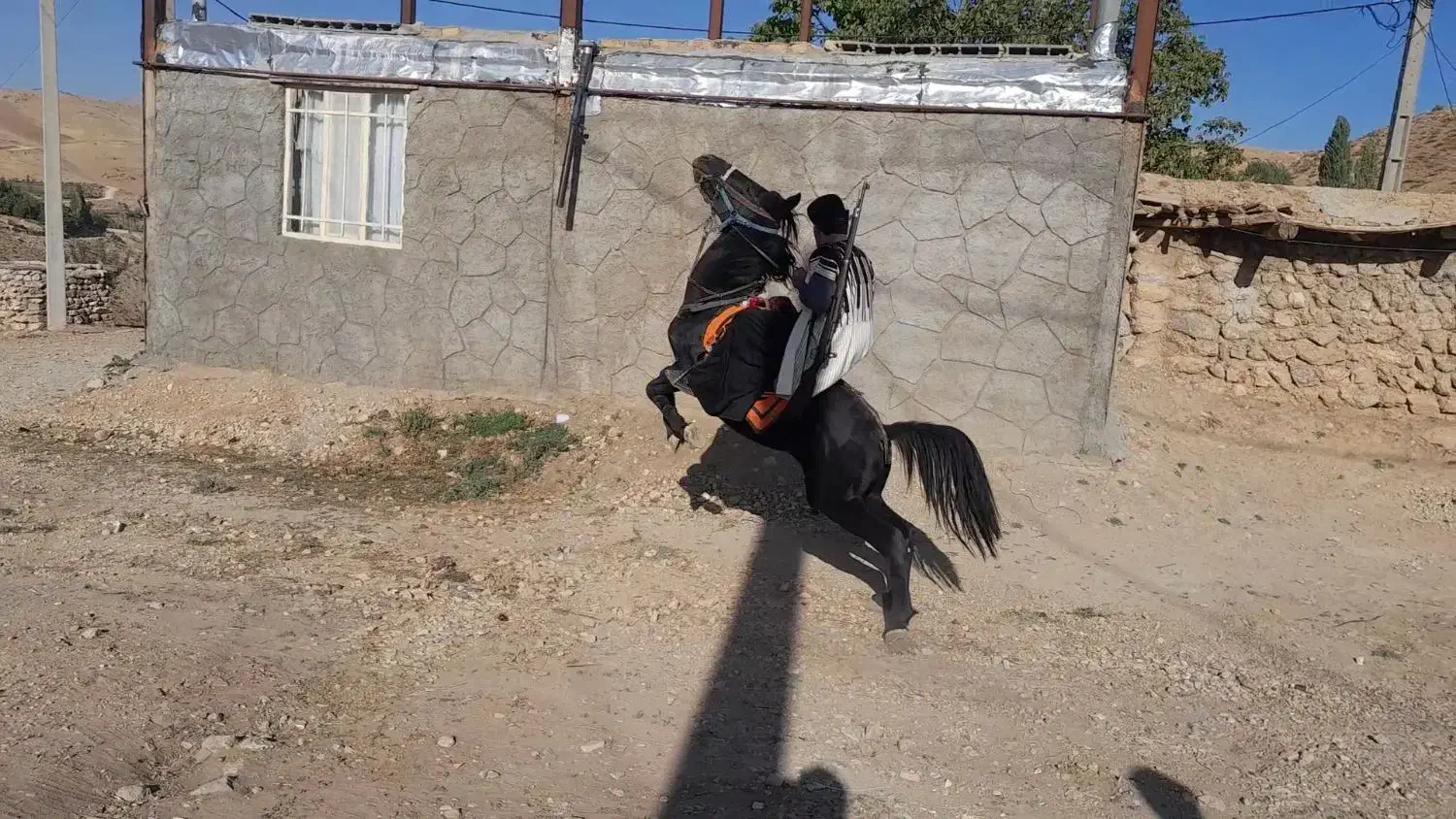 اسب کاسپین|اسب و تجهیزات اسبسواری|نجفآباد, امیرآباد|دیوار