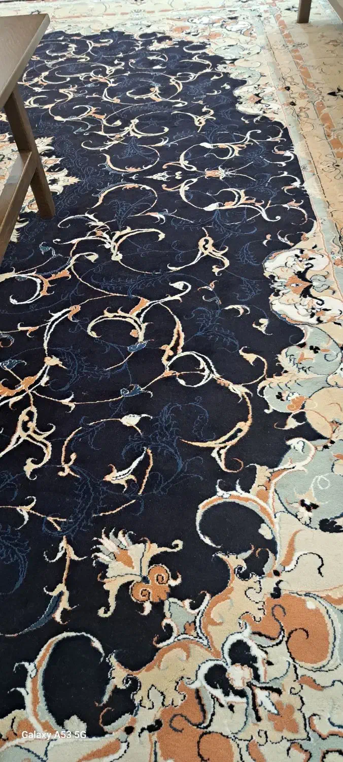 فرش ۵۰۰ شانه|فرش|گرگان, |دیوار