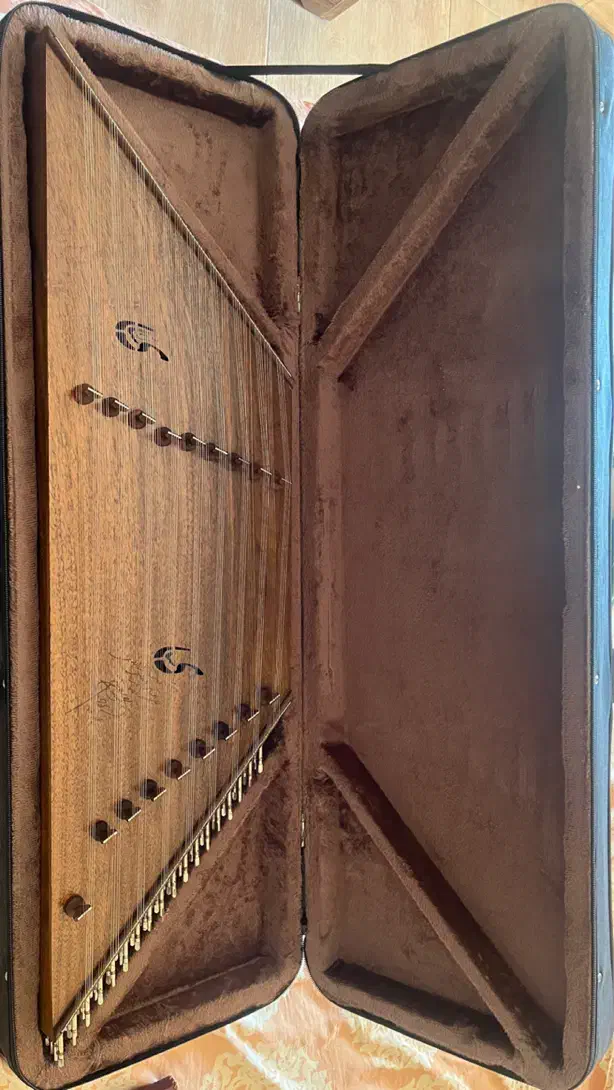 سنتور سالاری|سازهای سنتی|رشت, گلباغ نماز|دیوار