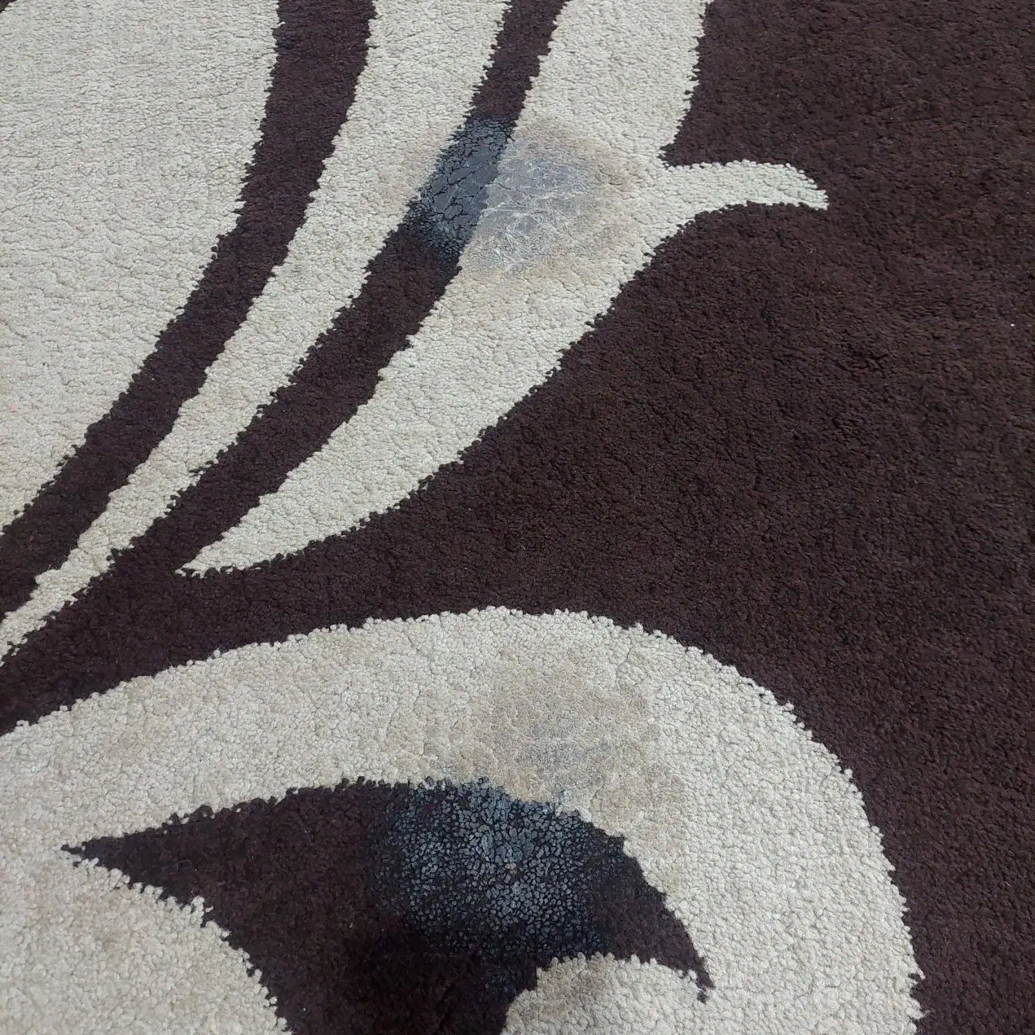 گلیم فرش پنج متری ونیم|گلیم، جاجیم، گبه|تویسرکان, |دیوار