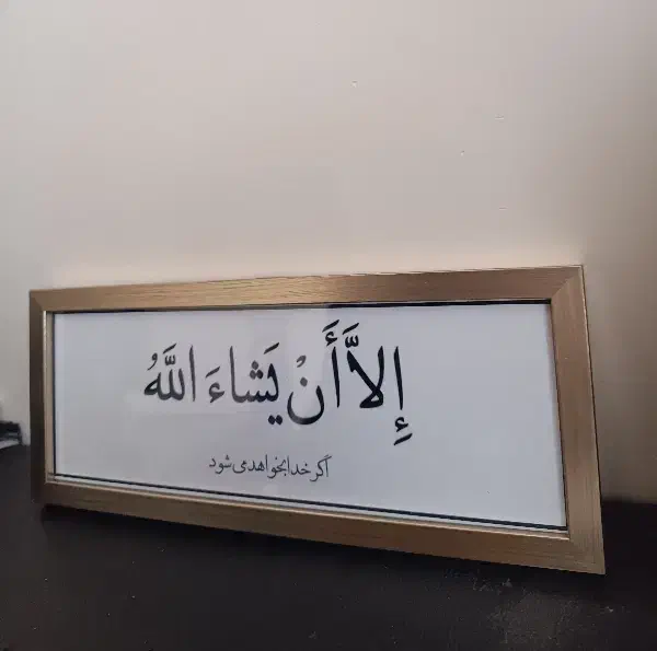 تابلو در دو رنگ|تابلو، نقاشی، عکس|مشهد, چهارچشمه|دیوار