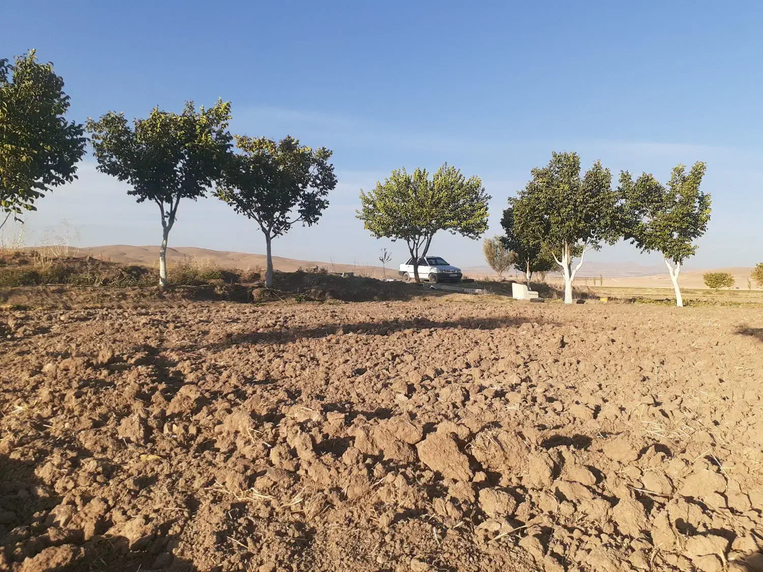 زمین کشاورزی با اب کافی|فروش زمین و ملک کلنگی|اشترینان, |دیوار