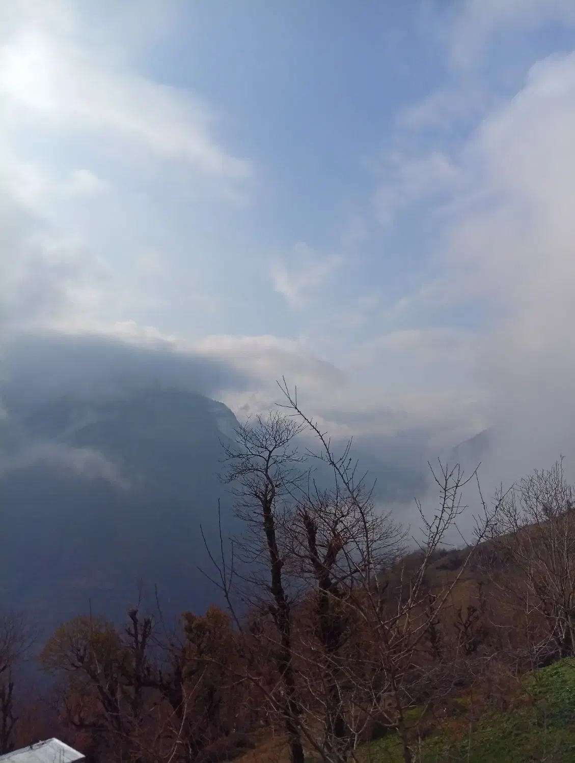 فروش زمین به مساحت ۱۰۰۰متر بامدارک کامل بروز|فروش زمین و ملک کلنگی|تالش, تالش|دیوار