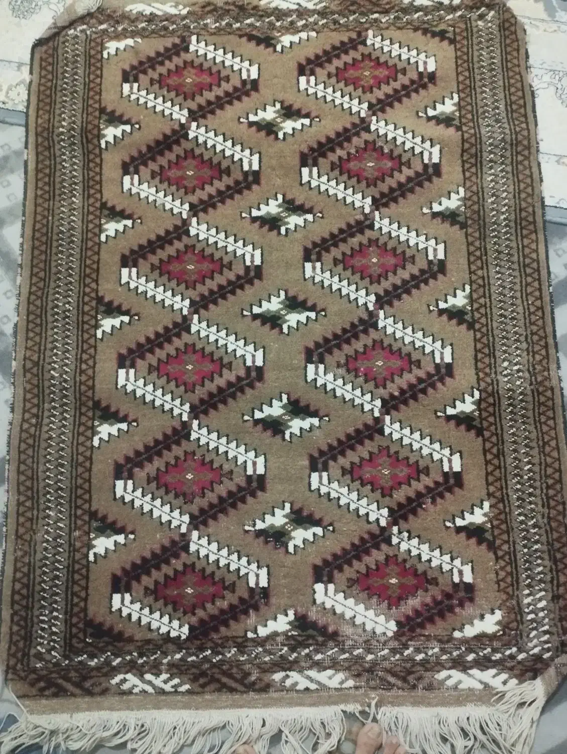 گلیم انتیک سالم وتمیز|گلیم، جاجیم، گبه|مشهد, میان ولایت|دیوار