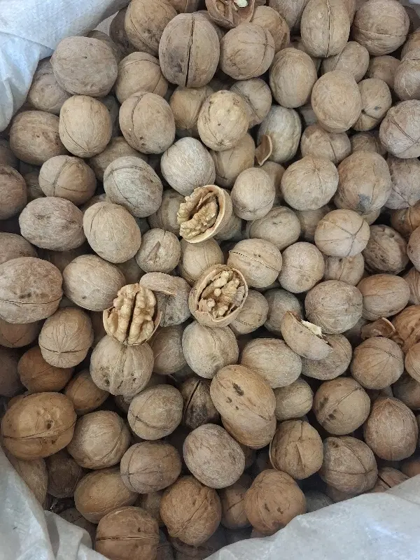 برنج، گردو، مغز گردو دندونه و دوپر، بادام تک پوست|خوردنی و آشامیدنی|اصفهان, دستگرده|دیوار