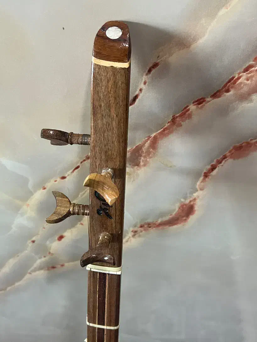 ستار|سازهای سنتی|شیراز, شهرک بهشتی|دیوار