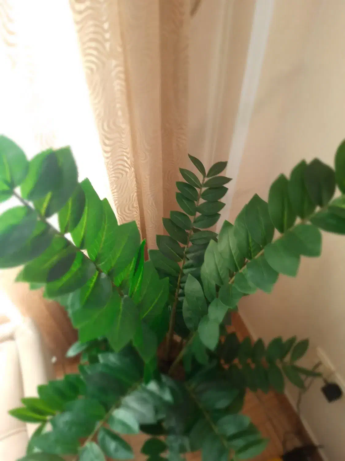 گل زاموفیلیا مصنوعی وارداتی|گل مصنوعی|ری, شهادت|دیوار