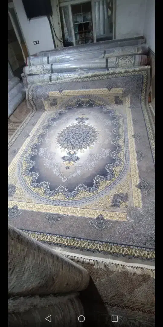 فرش دلبر|فرش|شیراز, شهرک رضوان|دیوار