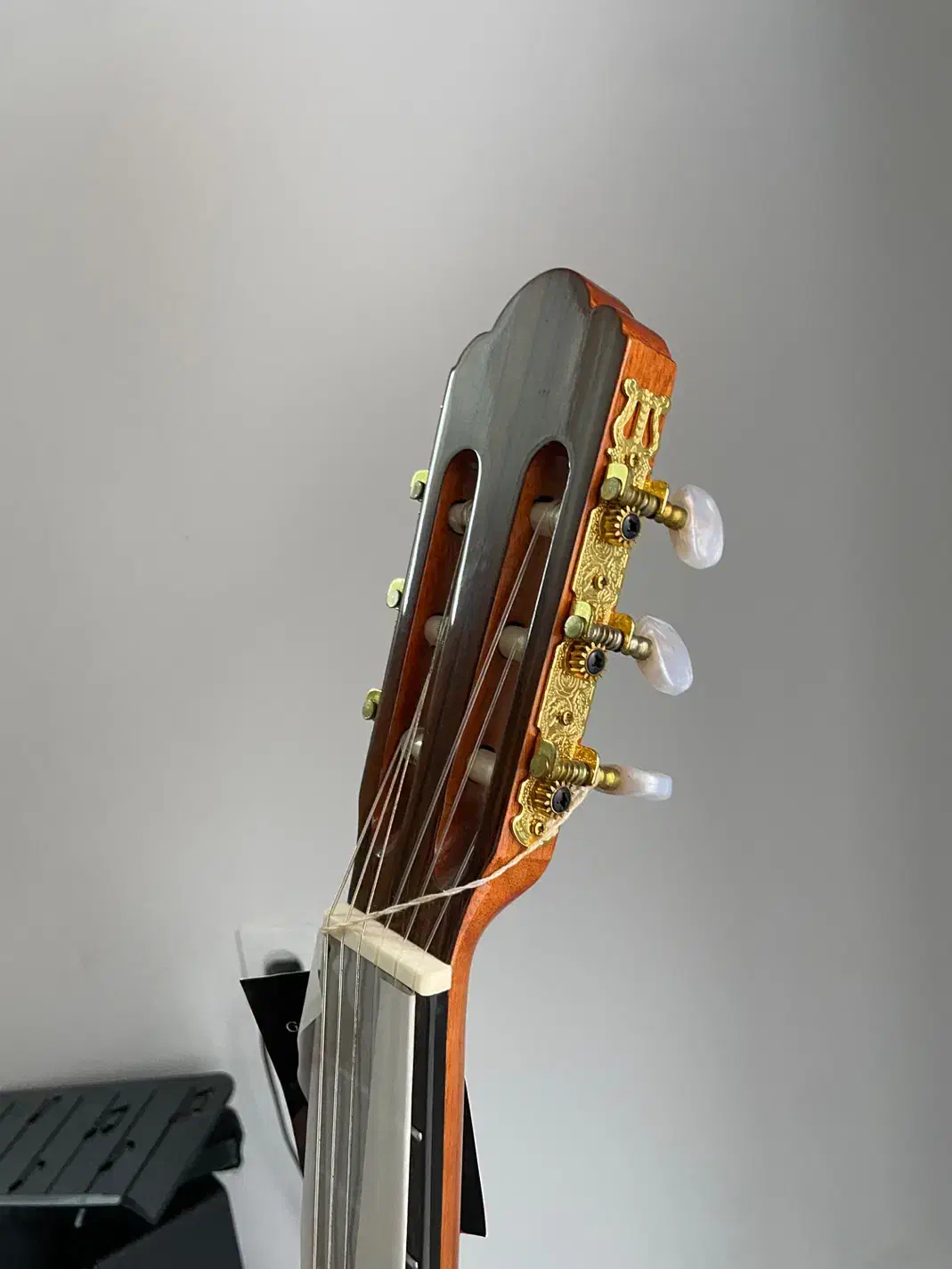 گیتار آریا ak30 آکمن|گیتار، بیس، امپلیفایر|بابلسر, |دیوار