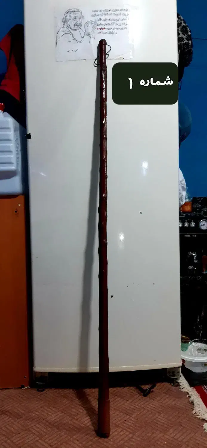 چوب دستی  البالو،بادام ،جنگلی|کلکسیون و سرگرمی|ساوه, |دیوار