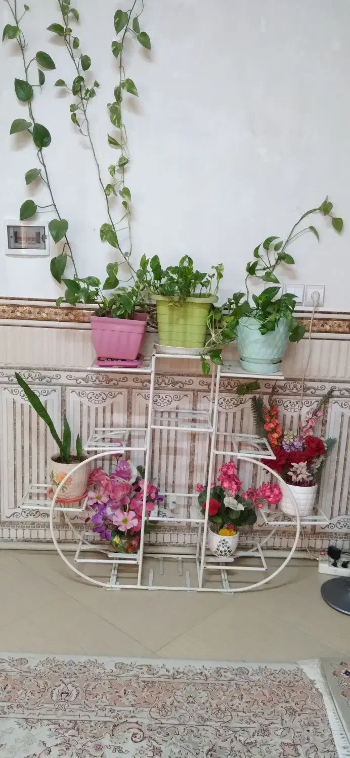 استند گل|گل و گیاه طبیعی|ورامین, ورامین|دیوار