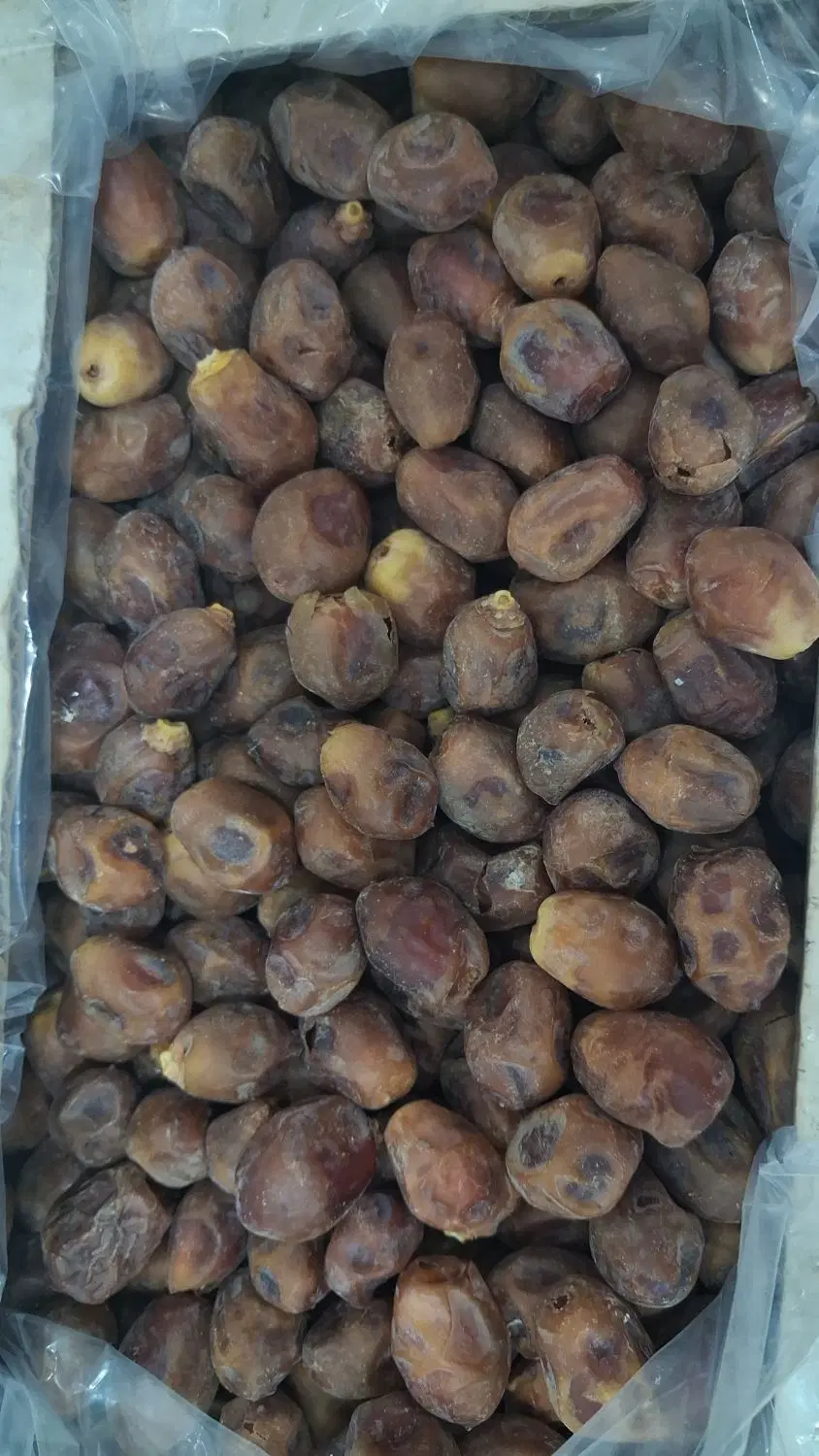 قصب|خوردنی و آشامیدنی|بوشهر, |دیوار