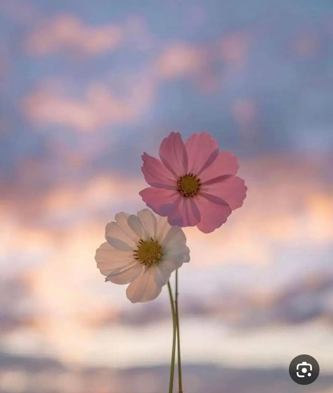 منشی خانم جهت کلینیک درمانی|استخدام درمانی، زیبایی، بهداشتی|رفسنجان, |دیوار