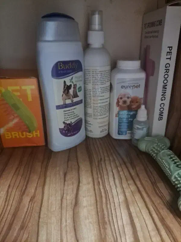 فروش ویژه همه وسایل باهم فروش میرسد|لوازم جانبی حیوانات|تهران, سلسبیل شمالی|دیوار