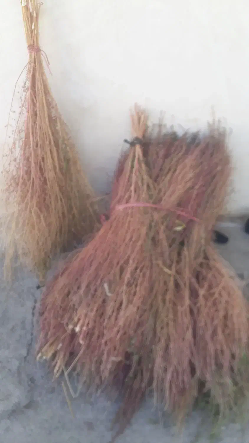 جارو|لوازم نظافت|دورود, |دیوار