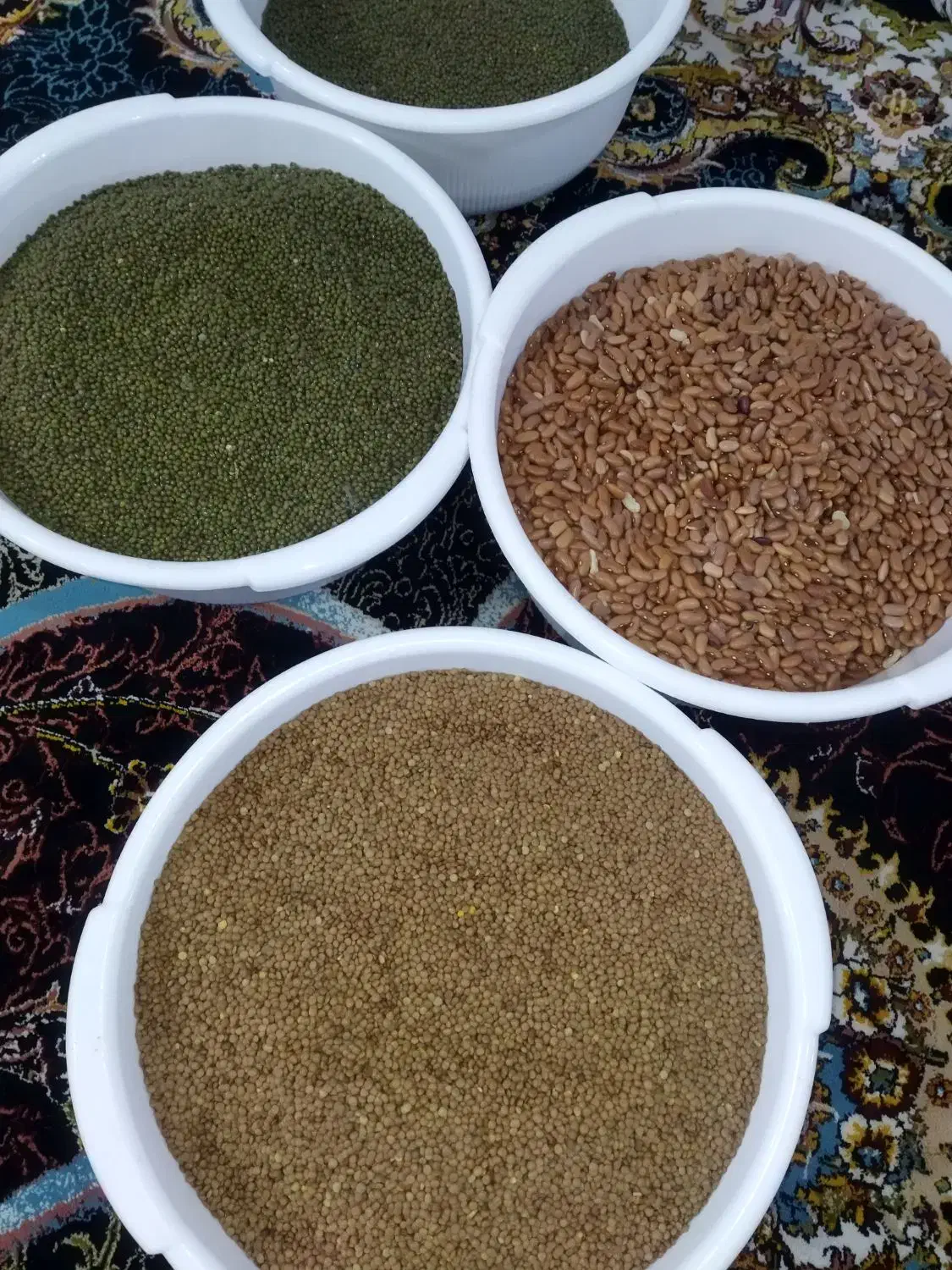 حبوبات (ماش ،عدس ریز ،لوبیا )|عمدهفروشی|بندر کنگان, |دیوار